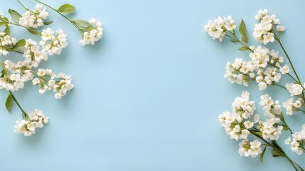 Elegant Arrangement of Delicate White Flowers on a Light Blue Background.