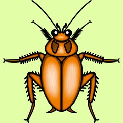Cockroach clip art cartoon character isolated on green