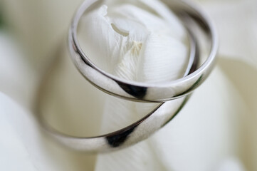 Close-Up of Wedding Rings on White Rose Petals..