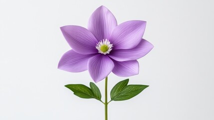 Naklejka premium Elegant purple flower blossom on white stunning display of natural beauty and grace