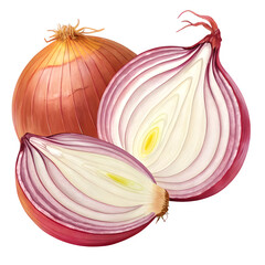 An onion depicted on a transparent PNG background