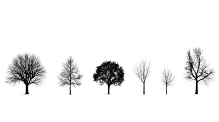 Collection of stylized and monochromatic trees in varying shapes and sizes, set against a white isolated background for design versatility.