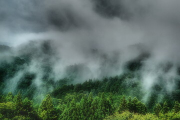 夕立の吉野山と雲海