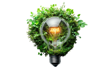 Eco-friendly light bulb surrounded by lush green plants, symbolizing sustainability and renewable energy, against a white isolate background.