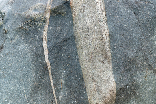 A livid grey texture of giant pebbles