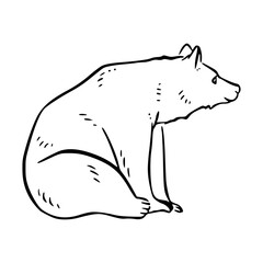 sitting bear outline vector illustration
