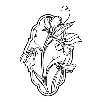 recommend clip art: sweet pea flowers in ornamental frame vector illustration