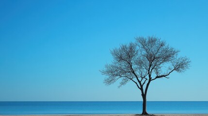 A lone tree, its branches reaching skyward, stands silhouetted against a pristine, transparent background, as if floating on a sea of pure blue.