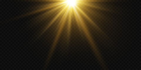 Obraz premium Golden flare and star flash, rays and lens effect.