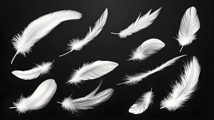 Obraz premium Elegant Set of Falling White Bird Feathers on Dark Transparent Background