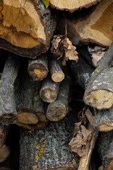 firewood stacked for heat resource problem energy crisis europe