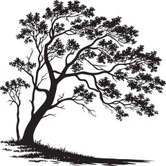 Obraz premium Maple tree silhouette vector illustration