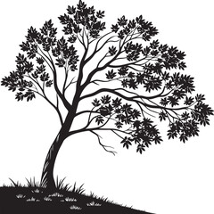 Maple tree silhouette vector illustration