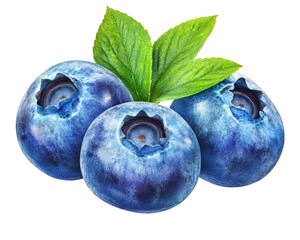 Obraz premium Fresh blueberries with green leaves, perfect for healthy snacks and desserts. Their vibrant color and juicy texture make them delightful addition to any dish