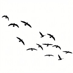Obraz premium Silhouette of Flying Birds in Formation