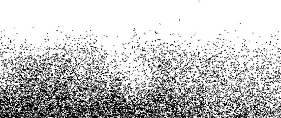 Distressed grunge texture  Black and White Texture 