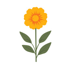 Fototapeta premium Very Simple flat 2D icon marigold branch and green leaves isolated on a white background, vector, flat design, animation design, simple flat 2D icon, minimalist design, clipart