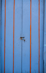 plano vertical de una puerta en madera pintada 