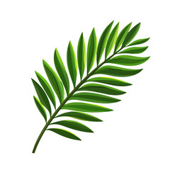 Very Simple flat 2D icon palm leaf branch isolated on a white background, vector, flat design, animation design, simple flat 2D icon, minimalist design, clipart	