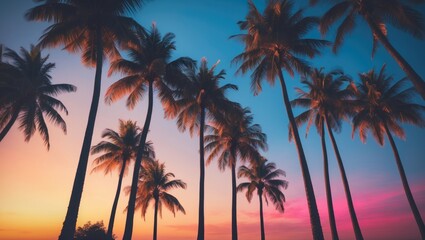 Palm trees during sunset with a blue sky and golden hues.