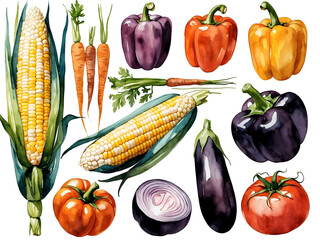 Watercolor illustration of a vibrant harvest featuring various vegetables and corn