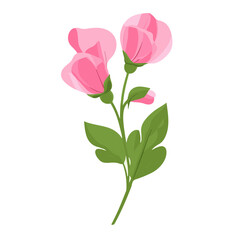 A Simple flat 2D icon pink sweet pea isolated on a white background, vector, flat design, animation design, simple flat 2D icon, minimalist design, clipart