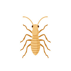 Simple flat 2D icon yellow termite isolated on a white background, vector, flat design, animation design, simple flat 2D icon, minimalist design, clipart
