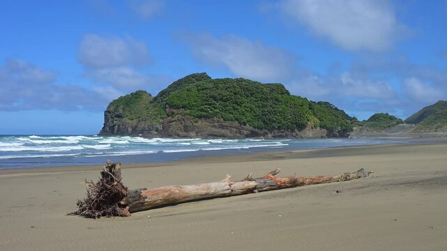 Insel, Wald, Meer, Strand, Sand, Treibholz, blaue, Wellen, Bethells Beach, Te Henga, Auckland, Neuseeland