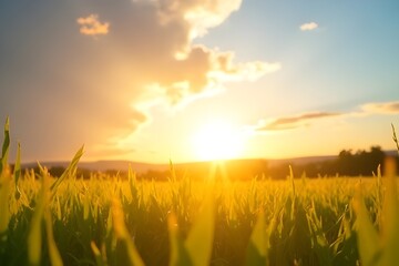 a rainbow over the meadow, with a vibrant and joyful presence and a sense of hope and beauty