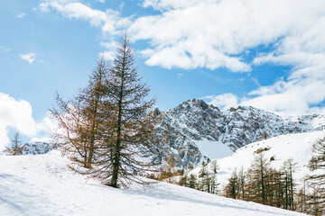 Les Alpes du Sud sous la neige  