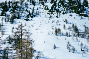 Les Alpes du Sud sous la neige  
