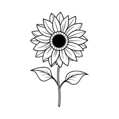 black and white flower