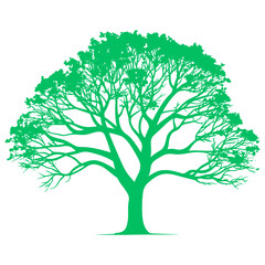 Obraz premium Green tree silhouette vector illustration.