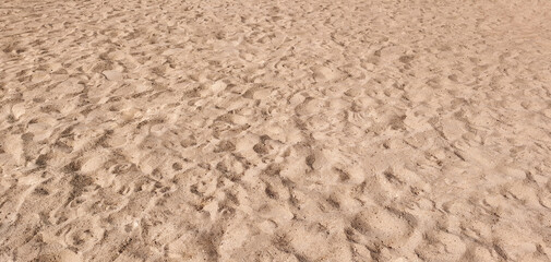 Beautiful sandy beach, empty sea beach, background image.