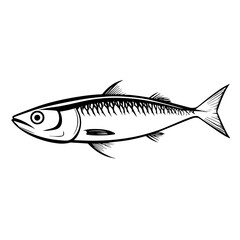 Obraz premium fish on a white background