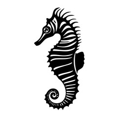 Obraz premium sea horse vector illustration