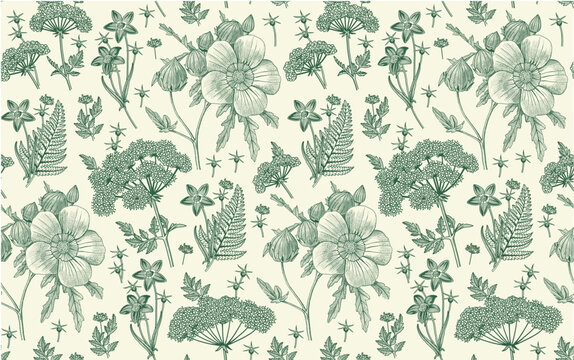 Seamless pattern Hibiscus wildflowers. Beautiful fabric blooming realistic isolated flowers Vintage background Wallpaper baroque. Drawing engraving Vector victorian illustration