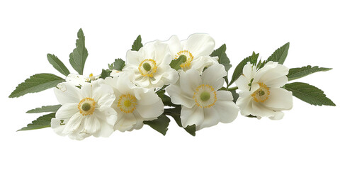 Naklejka premium white flowers on a white background