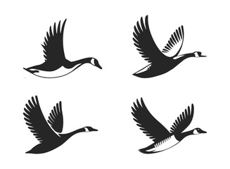 Obraz premium Vector of a bird silhouette, birds in flight, black, wings, feather.