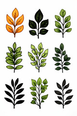 Colorful botanical leaf illustrations