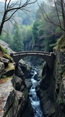 A delicate stone bridge over a deep, dark ravine, forest landscape, stone