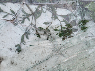Broken and damaged glass is lying on the green spring grass for recycling
