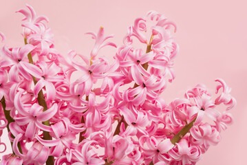 greeting card. mother's day, International Women's Day congratulate Holiday background celebration concept. flowers frame on pink background with space for text