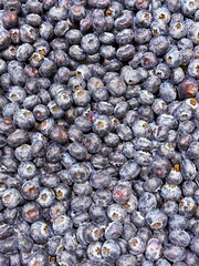 Blueberry fresh berry