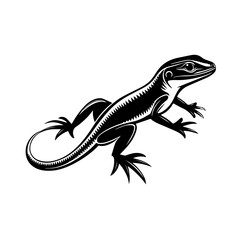 Fototapeta premium lizard on a white background