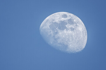 Detailreiche Mondaufnahme am Taghimmel mit sichtbaren Kratern und blauer Hintergrundfarbe © Fr_Di