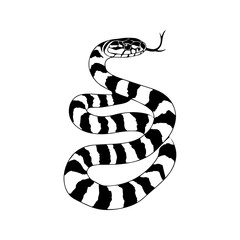 Snake Simple Vector Logo &ndash; High-Contrast Flat Design Illustration