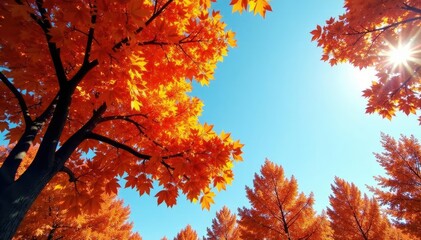 Burnt orange trees against a blue sky with sunlight filtering through leaves, foliage, nature, sky