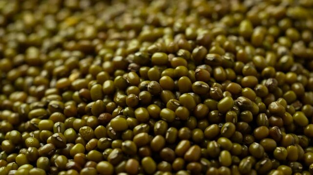 Closeup detailed shot of a pile of dark green, fresh and organic Mung beans