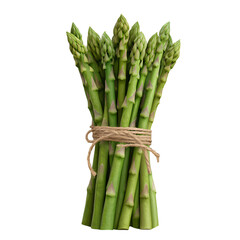 Fresh Organic Green Asparagus Bundle – Healthy Vegetable for Cooking & Nutrition